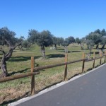 Parque Forestal "Dehesa Doña María" en Dos Hermanas