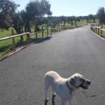 Parque Forestal "Dehesa Doña María" en Dos Hermanas