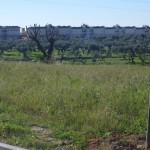 Parque Forestal "Dehesa Doña María" en Dos Hermanas