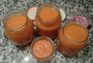 Salsa de Tomate frito casero con verdura