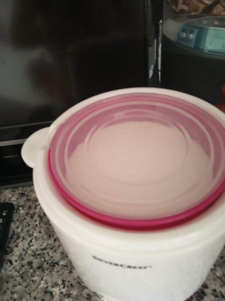 Yogur casero CON yogurtera de leche