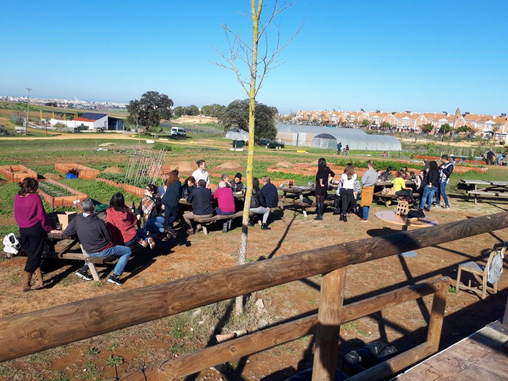 Cata de Cerveza artesanal en Bio Alverde en Montequinto